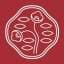 Shiseido Asia Pacific logo